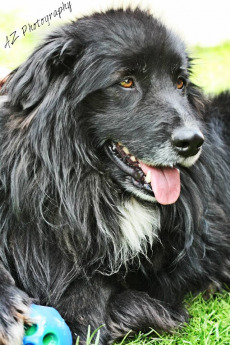 onur